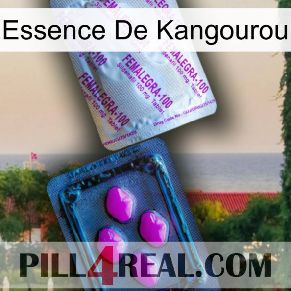 Kangaroo Essence 37